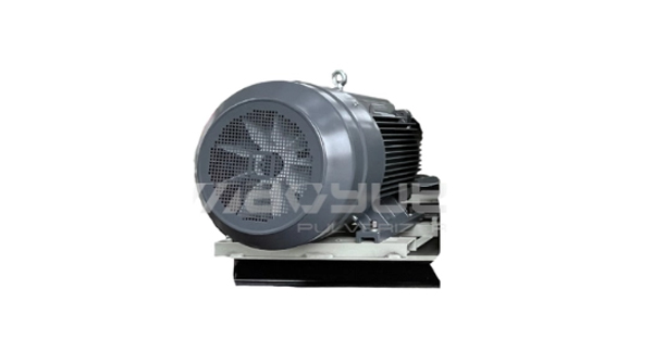 Main motor
